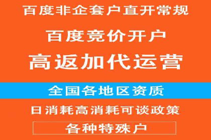百度推广返点揭秘：真实案例分析